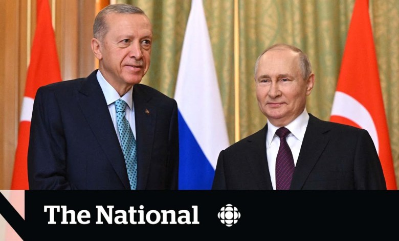 Der türkische Präsident will das Getreideabkommen zwischen Russland und der Ukraine wieder aufnehmen Der türkische Präsident will das Getreideabkommen zwischen Russland und der Ukraine wieder aufnehmen