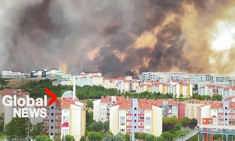 Waldbrände in der Türkei: Straße der Dardanellen gesperrt, Dörfer im Nordwesten evakuiert Waldbrände in der Türkei: Straße der Dardanellen gesperrt, Dörfer im Nordwesten evakuiert