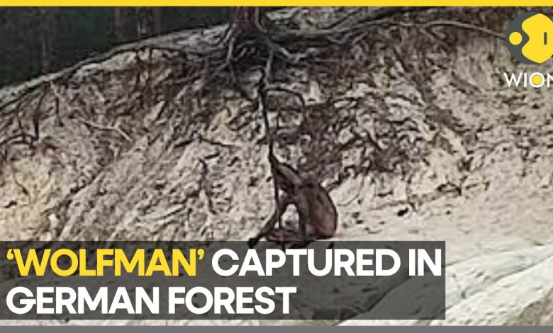 Geheimnisvoller nackter „Wolfsmann“ im deutschen Harz gesichtet | Neueste Weltnachrichten | WION Geheimnisvoller nackter „Wolfsmann“ im deutschen Harz gesichtet | Neueste Weltnachrichten | WION