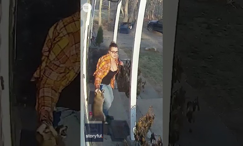 Heldenhafte Mutter rettet verängstigtes Fünfjähriges vor Waschbärenangriff | USA TODAY #Shorts Heldenhafte Mutter rettet verängstigtes Fünfjähriges vor Waschbärenangriff | USA TODAY #Shorts
