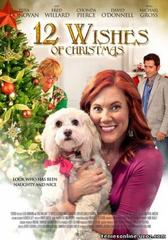 12 Wishes of Christmas (2011) 12 Wishes of Christmas (2011) Χριστουγεννιάτικες Online Greek subtitles.