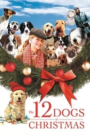 The 12 Dogs of Christmas (2005) The 12 Dogs of Christmas (2005) Χριστουγεννιάτικες Online Greek subtitles. Τα 12 Σκυλιά Των Χριστουγέννων.