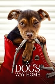 A Dog’s Way Home (2019) A Dog's Way Home (2019) Περιπέτεια Online Greek subtitles. 400 Μίλια Αγάπης