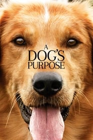 A Dog’s Purpose (2017) A Dog's Purpose (2017) Περιπέτεια Ο καλύτερος φίλος μου