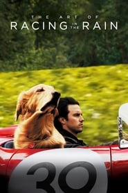 The Art of Racing in the Rain (2019) The Art of Racing in the Rain (2019) Κωμωδία Online Greek subtitles. Με τα μάτια τού Έντσο