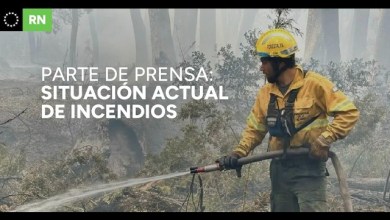 Parte SPLIF: se registran condiciones de riesgo elevado por incendios Parte SPLIF: se registran condiciones de riesgo elevado por incendios