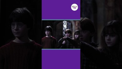 Warner Bros, Kerem Aktürkoğlu’na dava açtı Warner Bros, Kerem Aktürkoğlu’na dava açtı