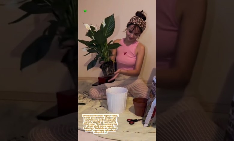 Yağmur Yüksel, Evinde Çiçek Dikerken Çektiği Doğal Halleri #yagmuryuksel #magazin #dizi Yağmur Yüksel, Evinde Çiçek Dikerken Çektiği Doğal Halleri #yagmuryuksel #magazin #dizi