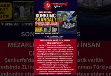 MEZARLIKTA VARİLDEN İNSAN CENİNLERİ ÇIKTI MEZARLIKTA VARİLDEN İNSAN CENİNLERİ ÇIKTI