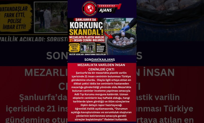 MEZARLIKTA VARİLDEN İNSAN CENİNLERİ ÇIKTI MEZARLIKTA VARİLDEN İNSAN CENİNLERİ ÇIKTI