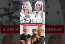 Seda Sayan ile evinde 36 kedi besleyen Ömür Gedik arasındaki diyalog gündem oldu. Seda Sayan ile evinde 36 kedi besleyen Ömür Gedik arasındaki diyalog gündem oldu.