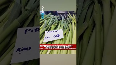 HURMAYA, ETE, GIDAYA DEV ZAM! Şanlıurfa’dan Tüm Türkiye’ye Yayılan “Fırsatçı” İsyanı! HURMAYA, ETE, GIDAYA DEV ZAM! Şanlıurfa’dan Tüm Türkiye’ye Yayılan “Fırsatçı” İsyanı!