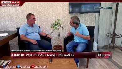 Türkiye’nin fındık politikası nasıl olmalı? İlyas Gümrükçü sordu, Sebahattin Aslantürk yanıtladı Türkiye’nin fındık politikası nasıl olmalı? İlyas Gümrükçü sordu, Sebahattin Aslantürk yanıtladı