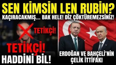 SEN KİMSİN LEN RUBIN? Erdoğan’ın Ayakkabı Tozu Bile Olamazsınız! Haddini Bil Tetikçi! SEN KİMSİN LEN RUBIN? Erdoğan’ın Ayakkabı Tozu Bile Olamazsınız! Haddini Bil Tetikçi!