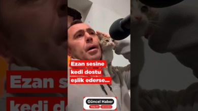 Omzundaki Yavru Kediyle Ezan Okuyan İmam. Omzundaki Yavru Kediyle Ezan Okuyan İmam.