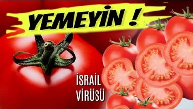 İSRAİL BUNU DA YAPTI-GÖRMEDEN YEMEYİN İSRAİL BUNU DA YAPTI-GÖRMEDEN YEMEYİN