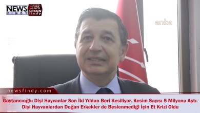 Okan Gaytancıoğlu Türkiye’deki Hayvancılık Politikasını Yönetemediler Okan Gaytancıoğlu Türkiye’deki Hayvancılık Politikasını Yönetemediler