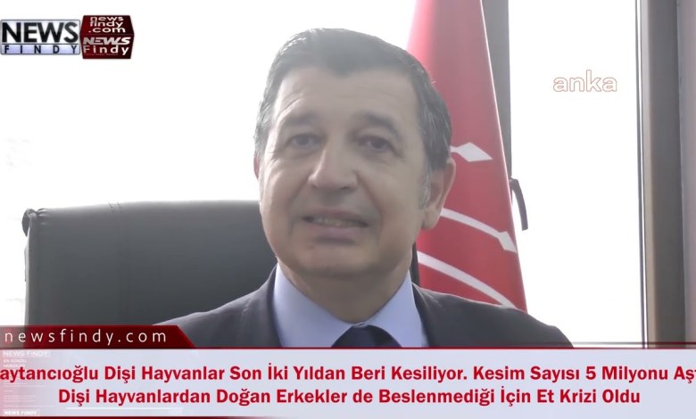 Okan Gaytancıoğlu Türkiye’deki Hayvancılık Politikasını Yönetemediler Okan Gaytancıoğlu Türkiye’deki Hayvancılık Politikasını Yönetemediler