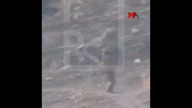 TÜRKİYE’NİN AMÊDİYÊ KIRSALINA TAŞIDIĞI PARAMİLİTER GRUPLAR GÖRÜNTÜLENDİ TÜRKİYE’NİN AMÊDİYÊ KIRSALINA TAŞIDIĞI PARAMİLİTER GRUPLAR GÖRÜNTÜLENDİ