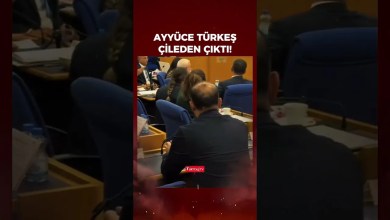 İYİ Partili Ayyüce Türkeş çileden çıktı! “Türk askerine bunu diyemez! Kabul etmiyoruz!” İYİ Partili Ayyüce Türkeş çileden çıktı! “Türk askerine bunu diyemez! Kabul etmiyoruz!”