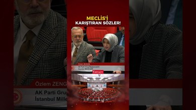 Mahmut Tanal’dan Meclis’i karıştıran sözler! Mahmut Tanal’dan Meclis’i karıştıran sözler!