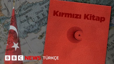 Kırmızı Kitap: Türkiye’nin Milli Güvenlik Siyaseti Belgesi Kırmızı Kitap: Türkiye’nin Milli Güvenlik Siyaseti Belgesi