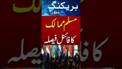 Pakistan Invited To Muslim States , Meeting in Turkiye On Next Step For Gaza Peace Plan #latestnews Pakistan Invited To Muslim States , Meeting in Turkiye On Next Step For Gaza Peace Plan #latestnews