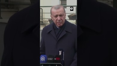 Erdogan: Netanyahu pagará por las víctimas inocentes Erdogan: Netanyahu pagará por las víctimas inocentes