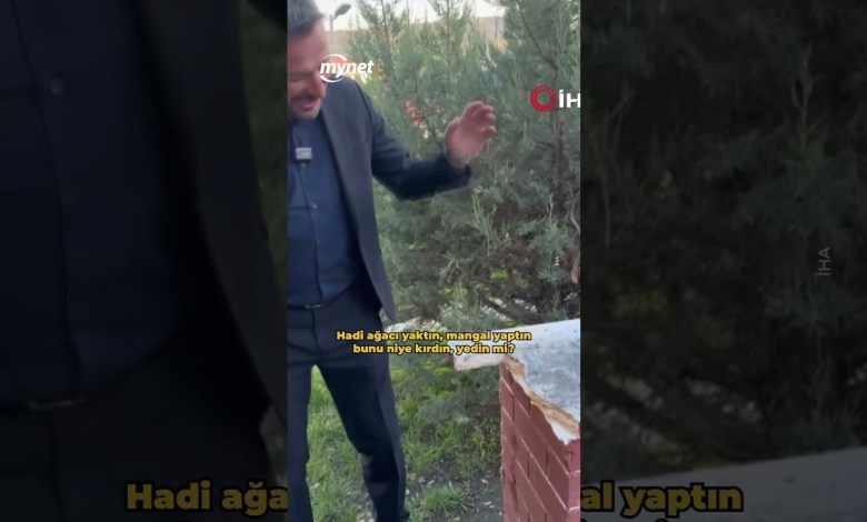 Belediye başkanından parka zarar verenlere tepki: “Biz yapmaktan siz kırmaktan bıkmadınız” Belediye başkanından parka zarar verenlere tepki: “Biz yapmaktan siz kırmaktan bıkmadınız”