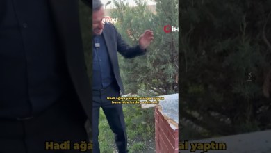 Belediye başkanından parka zarar verenlere tepki: “Biz yapmaktan siz kırmaktan bıkmadınız” Belediye başkanından parka zarar verenlere tepki: “Biz yapmaktan siz kırmaktan bıkmadınız”