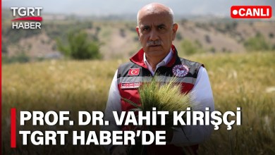 CANLI | Türkiye’nin Yeni Dönemde Tarım Politikaları Neler Olacak? Vahit Kirişçi TGRT Haber’de CANLI | Türkiye’nin Yeni Dönemde Tarım Politikaları Neler Olacak? Vahit Kirişçi TGRT Haber’de