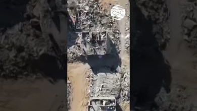 Турция проследит за миром в Газе Турция проследит за миром в Газе