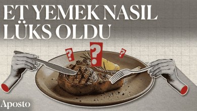 Türkiye’de et neden bu kadar pahalı | Kuşbakışı Türkiye’de et neden bu kadar pahalı | Kuşbakışı