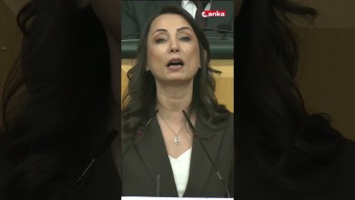 “Almanya’daki domates Türkiye’den daha ucuz” #shorts “Almanya’daki domates Türkiye’den daha ucuz” #shorts