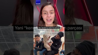 Suriyeli girişimciler Türkiye’de neden bu kadar başarılı oldu? #suriye #türkiye #shorts Suriyeli girişimciler Türkiye’de neden bu kadar başarılı oldu? #suriye #türkiye #shorts