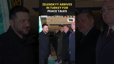 #watch | Ukrainian President Zelenskyy Lands in Turkey Amid Peace Negotiation Efforts | #shorts #watch | Ukrainian President Zelenskyy Lands in Turkey Amid Peace Negotiation Efforts | #shorts