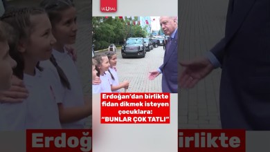 Erdoğan kendisiyle fidan dikmek isteyen çocuklara böyle tepki verdi #shorts #erdoğan #çocuk Erdoğan kendisiyle fidan dikmek isteyen çocuklara böyle tepki verdi #shorts #erdoğan #çocuk
