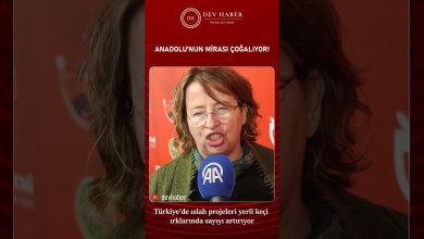Yerli Keçi Irkları Hem Çoğalıyor Hem Verim Artıyor Yerli Keçi Irkları Hem Çoğalıyor Hem Verim Artıyor