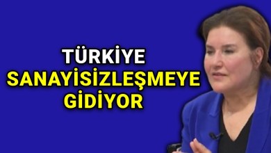 Kendimizi yalnız hissediyoruz, sanayiye daha fazla önem verilmeli Kendimizi yalnız hissediyoruz, sanayiye daha fazla önem verilmeli