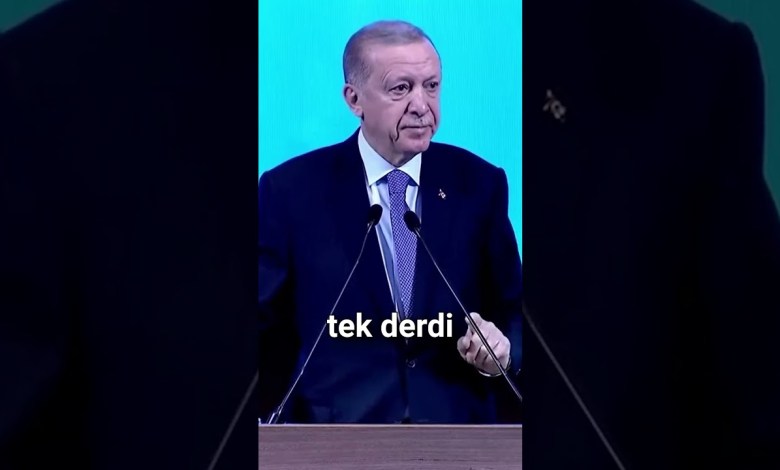 Erdoğan: “Hükümet çalışmalarını yürütürken hiç kimsenin siyasi kimliğine bakmıyoruz” #shorts Erdoğan: “Hükümet çalışmalarını yürütürken hiç kimsenin siyasi kimliğine bakmıyoruz” #shorts