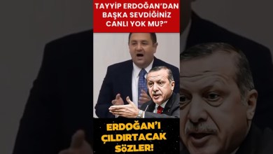 AKP Sıralarını Şaşkına Çeviren Soru! Sizin Tayyip Erdoğan dışında sevdiğiniz bir canlı yok mu?” AKP Sıralarını Şaşkına Çeviren Soru! Sizin Tayyip Erdoğan dışında sevdiğiniz bir canlı yok mu?”