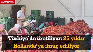 Türkiye’de üretiliyor: 25 yıldır Hollanda’ya ihraç ediliyor Türkiye’de üretiliyor: 25 yıldır Hollanda’ya ihraç ediliyor