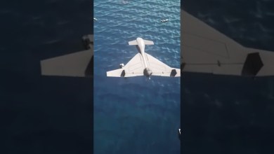 YERLİ HAROP İLK KEZ GÖRÜNTÜLENDİ ! #short #shorts YERLİ HAROP İLK KEZ GÖRÜNTÜLENDİ ! #short #shorts