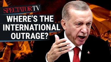 Turkey protests: why world leaders won’t contemn Erdogan – Owen Matthews & Hannah Lucinda Smith Turkey protests: why world leaders won’t contemn Erdogan – Owen Matthews & Hannah Lucinda Smith