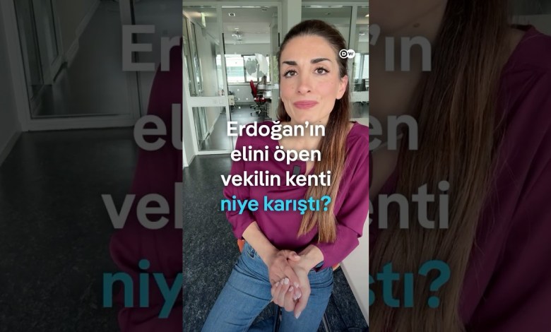 Erdoğan’ın elini öpen Seda Sarıbaş kimdir, niye yine gündemde? Erdoğan’ın elini öpen Seda Sarıbaş kimdir, niye yine gündemde?