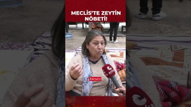 Köylüler Meclis kapısında zeytin nöbetinde: Zeytin olmazsa meyve olmazsa Türkiye olmaz! Köylüler Meclis kapısında zeytin nöbetinde: Zeytin olmazsa meyve olmazsa Türkiye olmaz!