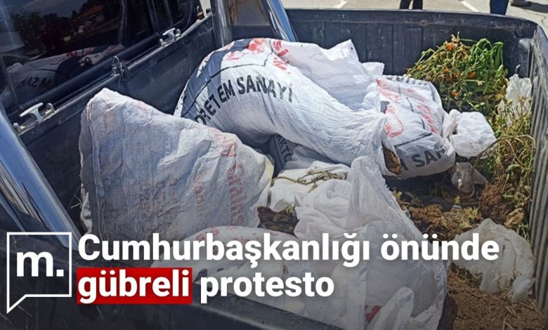 KKTC’de gübreli protesto | Hayvancıların sabrı taştı, cumhurbaşkanlığı önüne dışkı döktü KKTC’de gübreli protesto | Hayvancıların sabrı taştı, cumhurbaşkanlığı önüne dışkı döktü