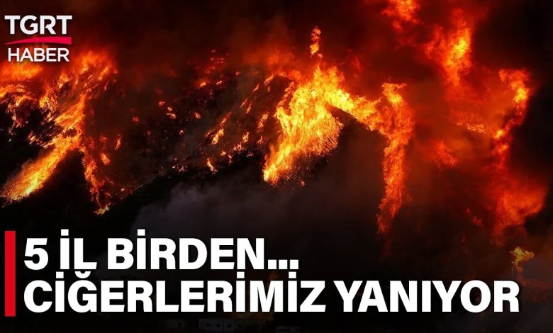 5 İlde Art Arda Korkutan Yangınlar: Bakanlar Bölgelere Gidiyor – TGRT Haber 5 İlde Art Arda Korkutan Yangınlar: Bakanlar Bölgelere Gidiyor – TGRT Haber