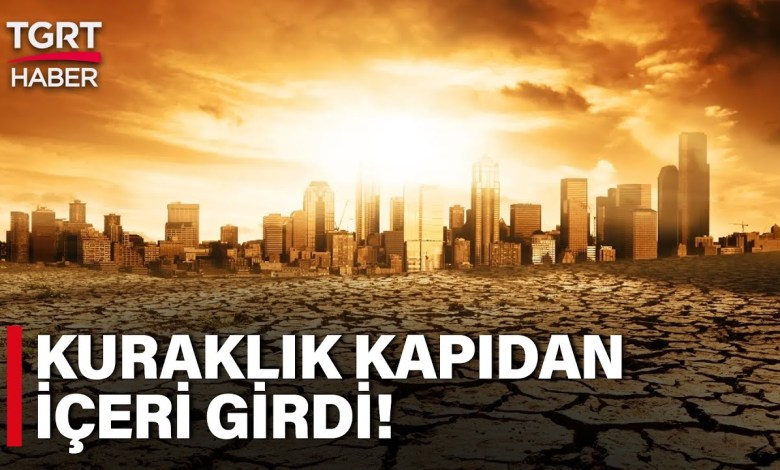 Türkiye, Son 33 Yılın En Kurak Ağustos Ayını Yaşadı – TGRT Haber Türkiye, Son 33 Yılın En Kurak Ağustos Ayını Yaşadı – TGRT Haber