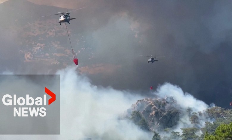 Turkey wildfires: Helicopters, planes douse flames in Izmir as strong winds fan blaze Turkey wildfires: Helicopters, planes douse flames in Izmir as strong winds fan blaze